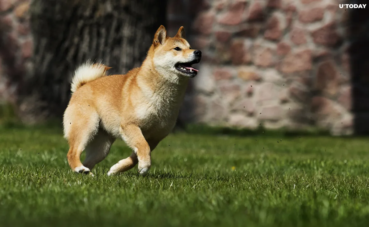 Shiba Inu-Themed Burger Chain to Actively Participate in SHIB Burn Process