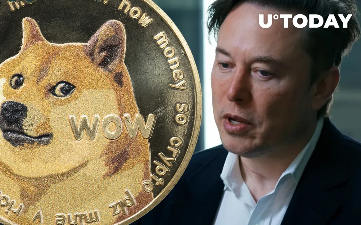Elon Musk Believes Dogecoin Could Solve Twitter's Spam Bot Problem