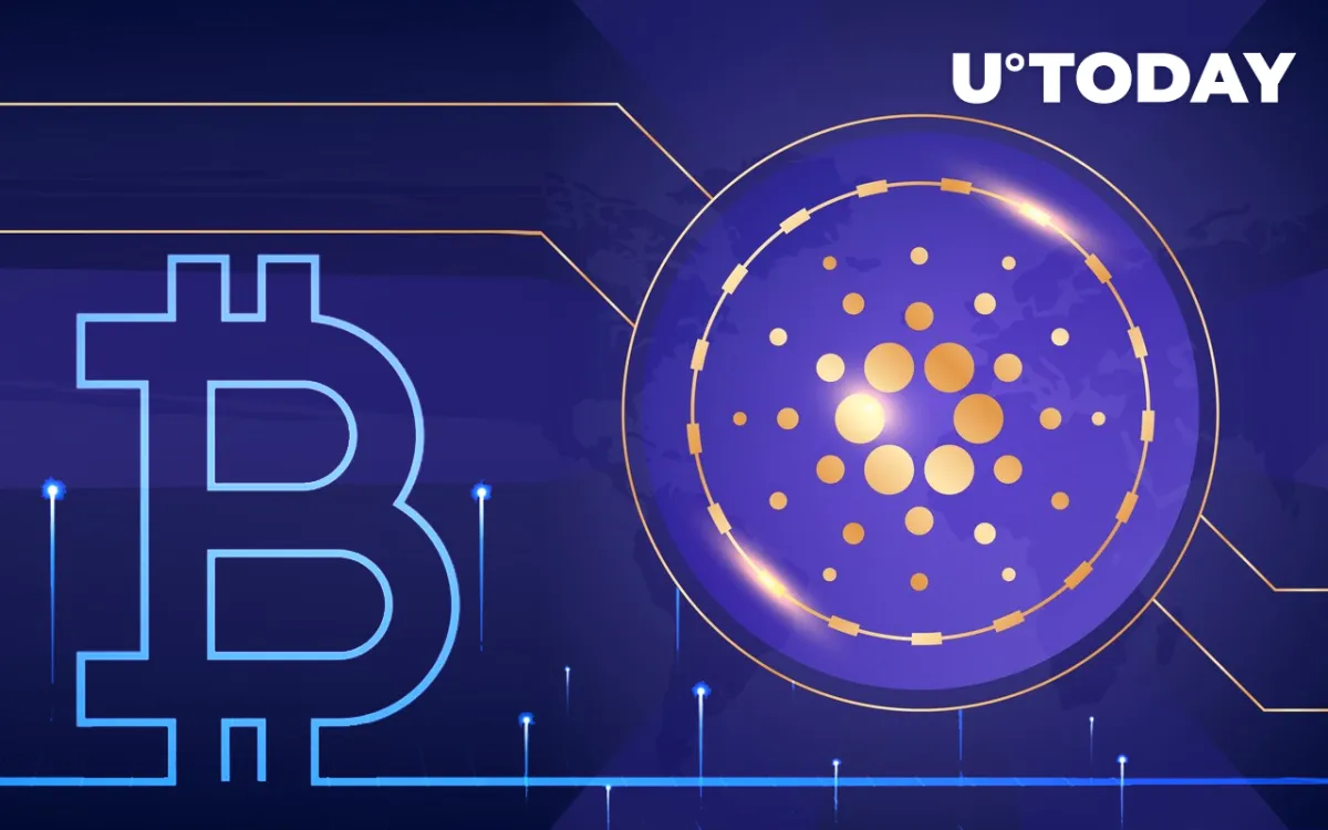 Cardano Has Potential to Become Scarce Asset Like Bitcoin: Community