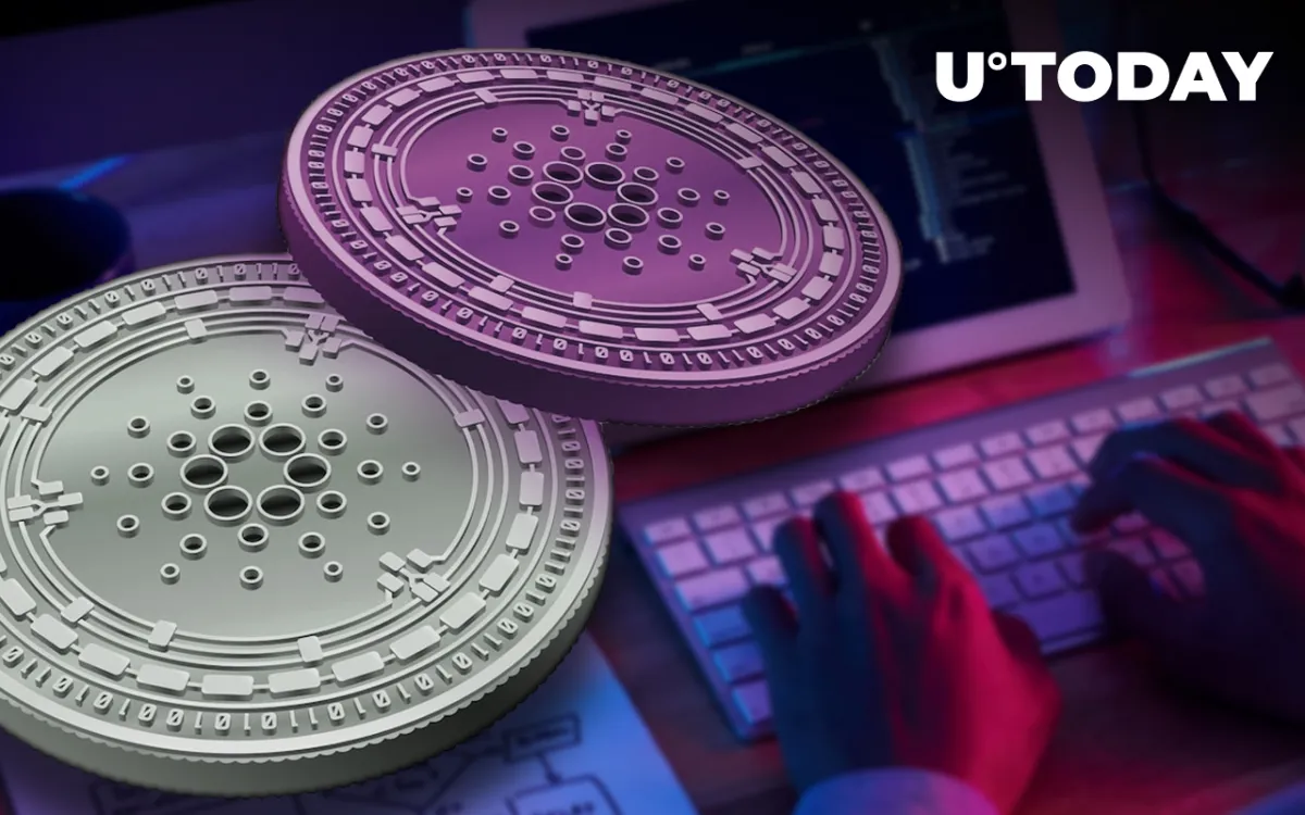 Cardano Native Assets Minted Reach 5 Million, ADA Spikes 12%