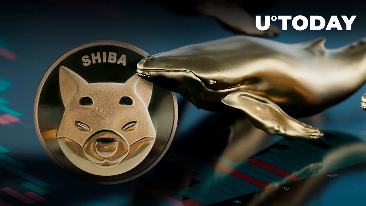 Whales Grab $33 Million in SHIB Over Past 24 Hours But There’s a Catch