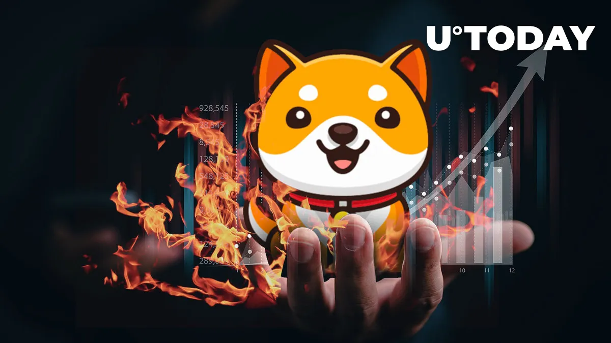 BabyDoge Holder Count Surpasses Shiba Inu's, Hitting New ATH