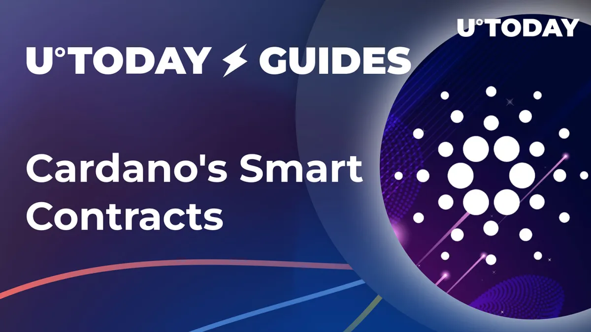 Cardano and Smart Contracts, Everything You Should Know: Comprehensive Guide by InkByte