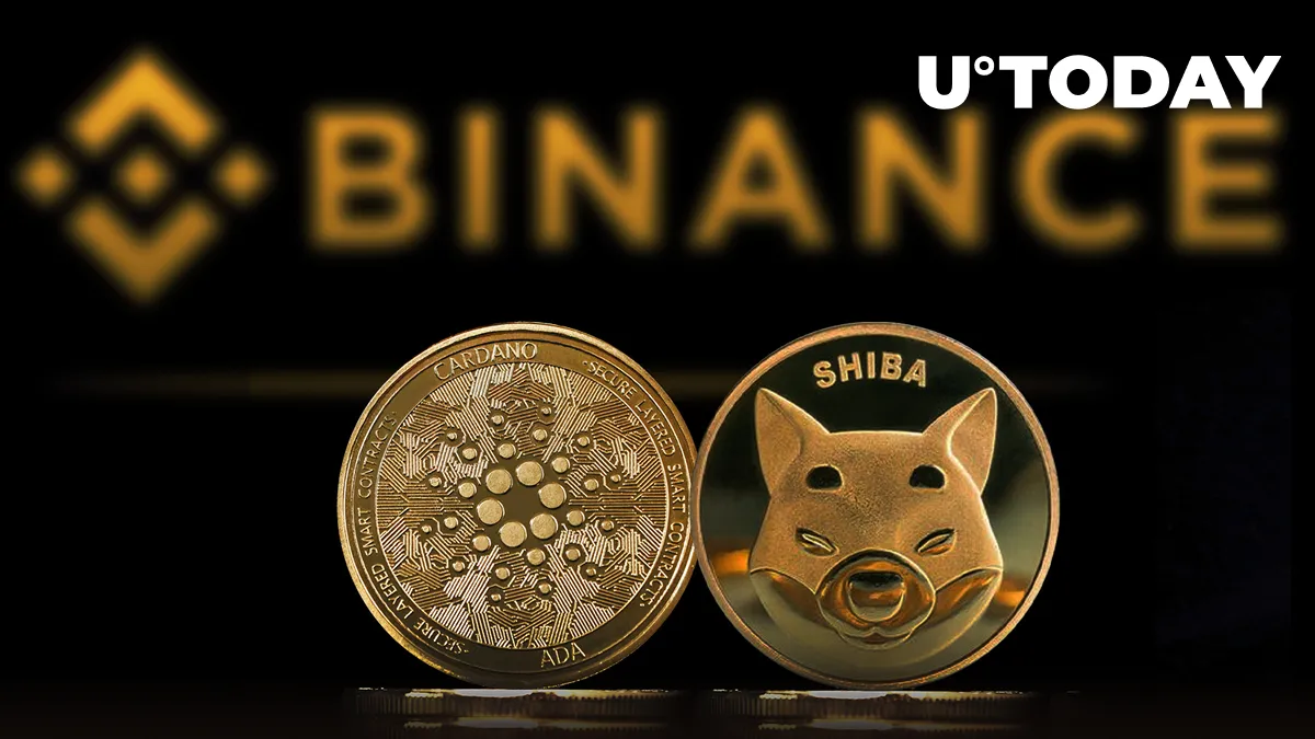 SHIB, ADA Users Can Now Enjoy 8% Cashback on Binance Card Purchases: Details