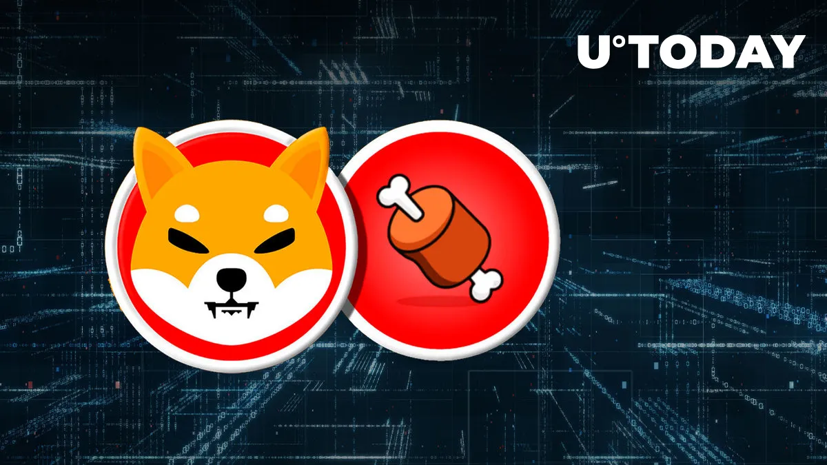 Shiba Inu's BONE Token Now Listed on Another Crypto Exchange
