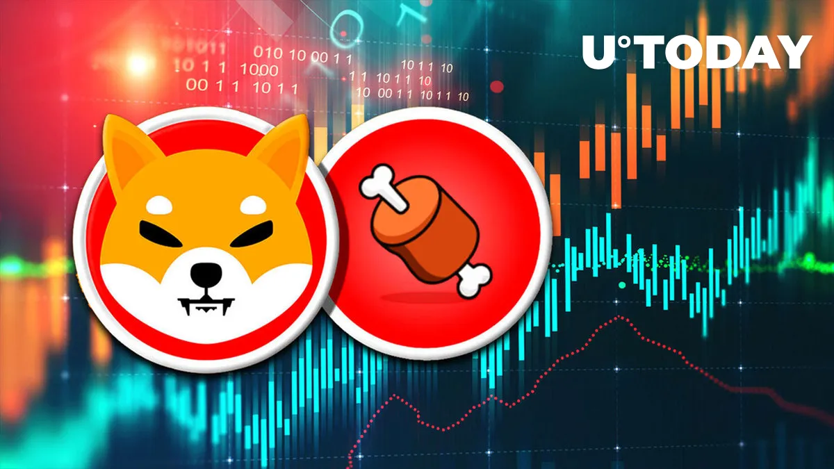 Shiba Inu's BONE Up 10% as Price Gains on Positive News Inflow