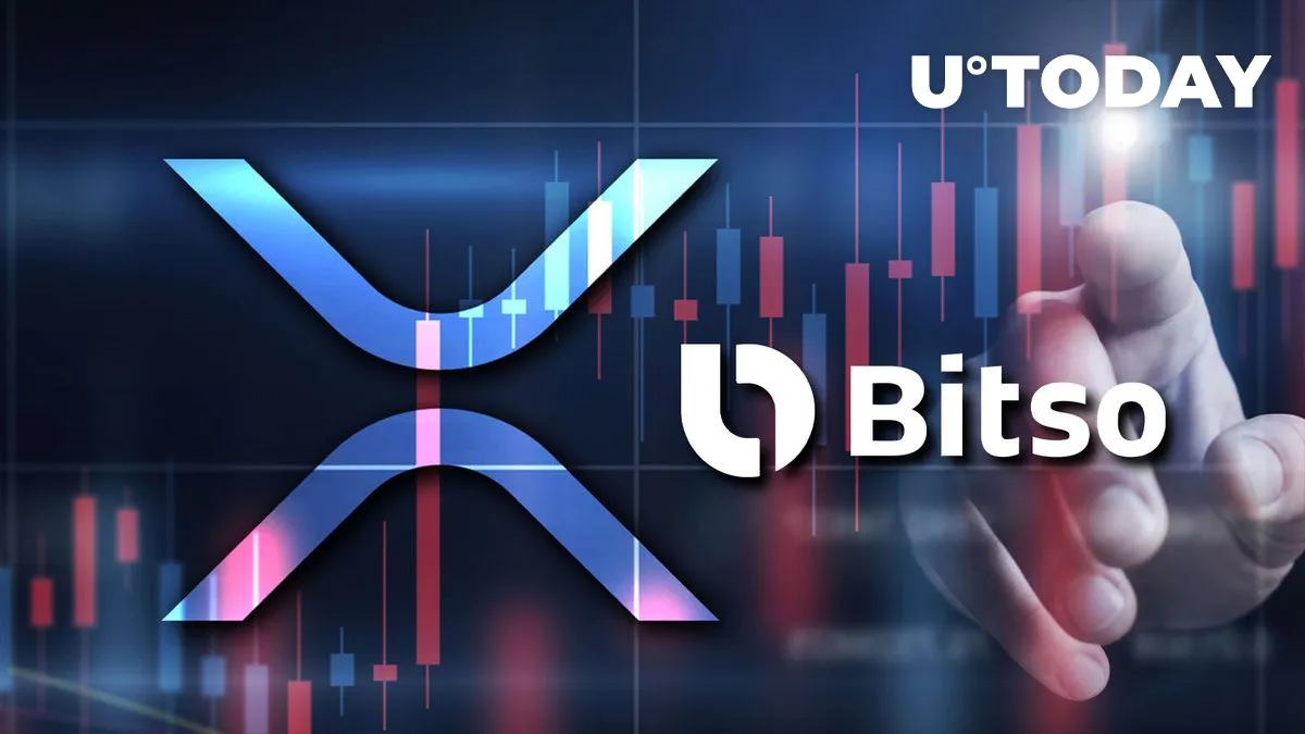 Dozens of Millions of XRP Moved by Ripple's Key Partner Bitso, Here's What Happened