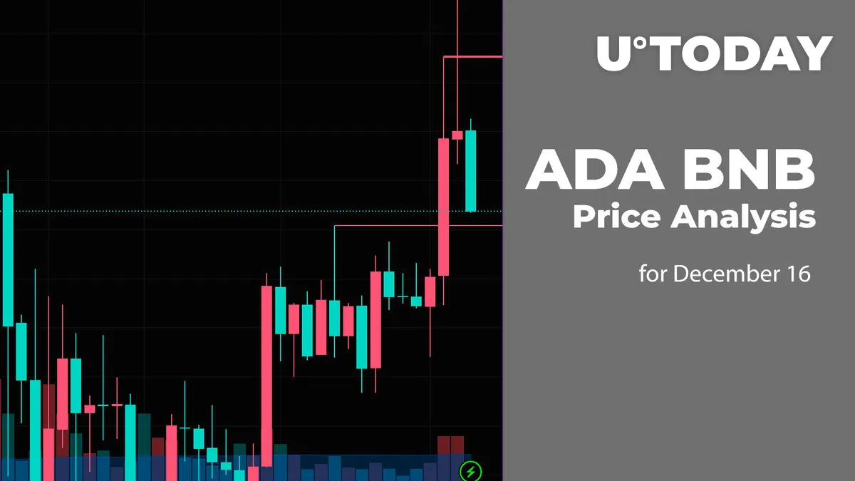 ADA and BNB Price Analysis for December 16