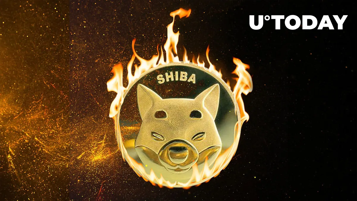 Current Massive 5,572% SHIB Burn Rate Spike Not What It Seems: Details