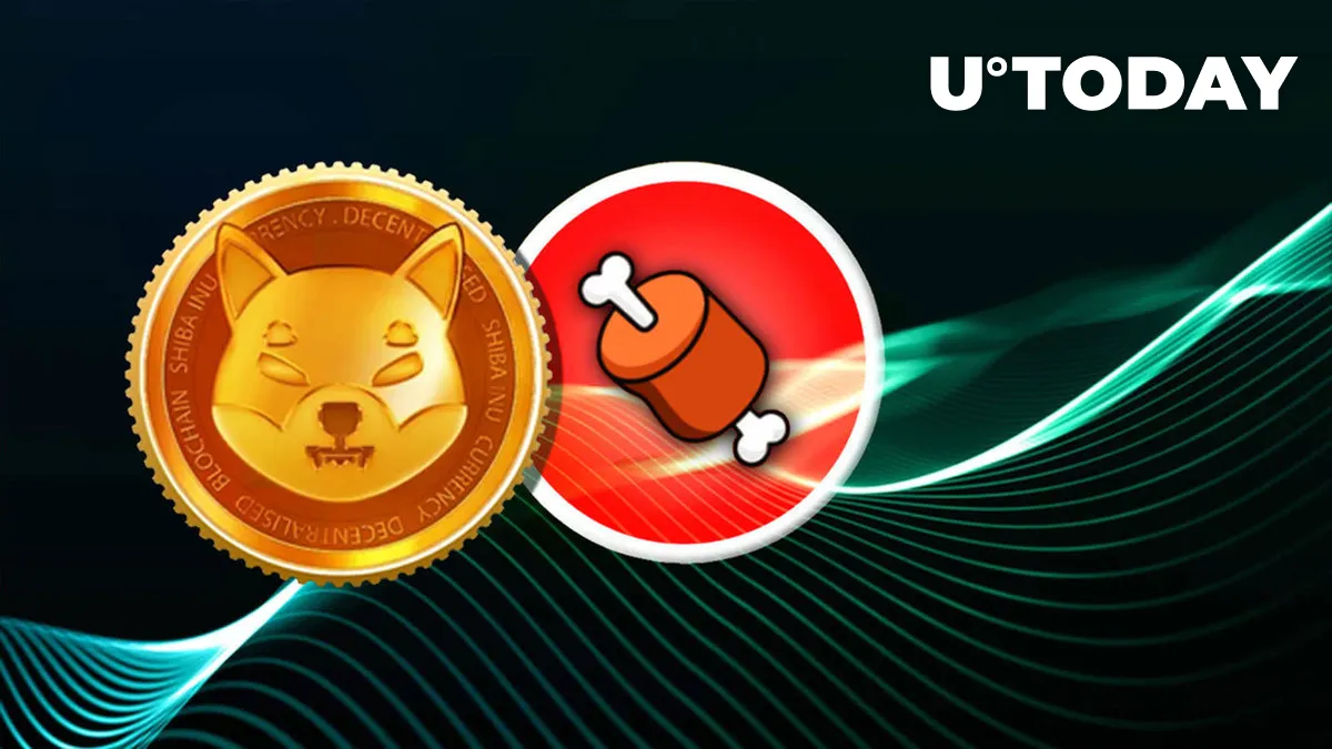 Shiba Inu: Crypto Lending Platform Announces Support for BONE and Shibarium