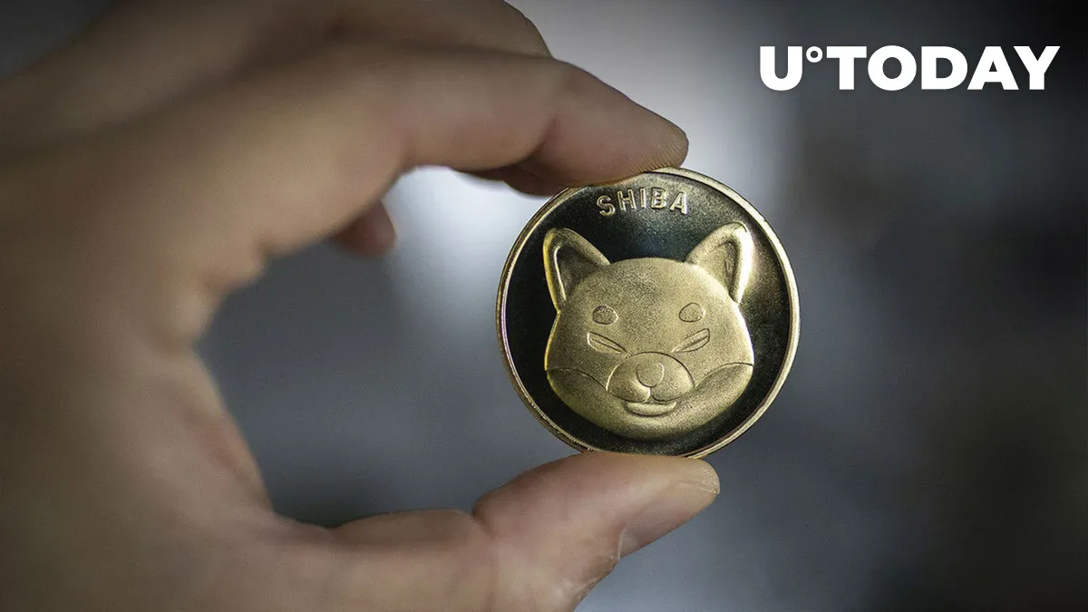 Shiba Inu Lead Developer Urges YouTuber BitBoy to “Stop Fudding”