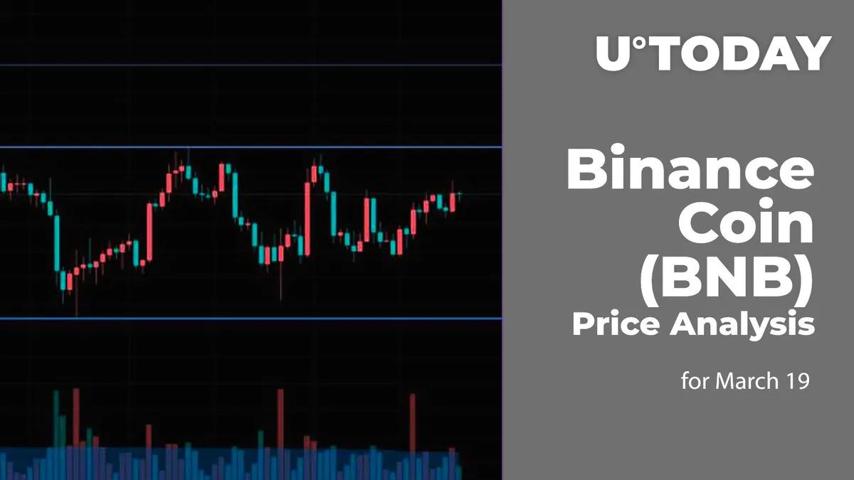 Binance Coin (BNB) Price Analysis for March 19