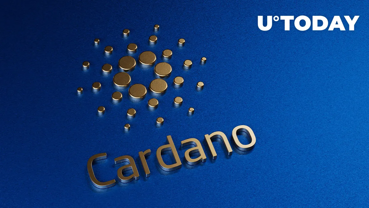 Cardano Network TVL up Almost 150% Following Surge of DeFi
