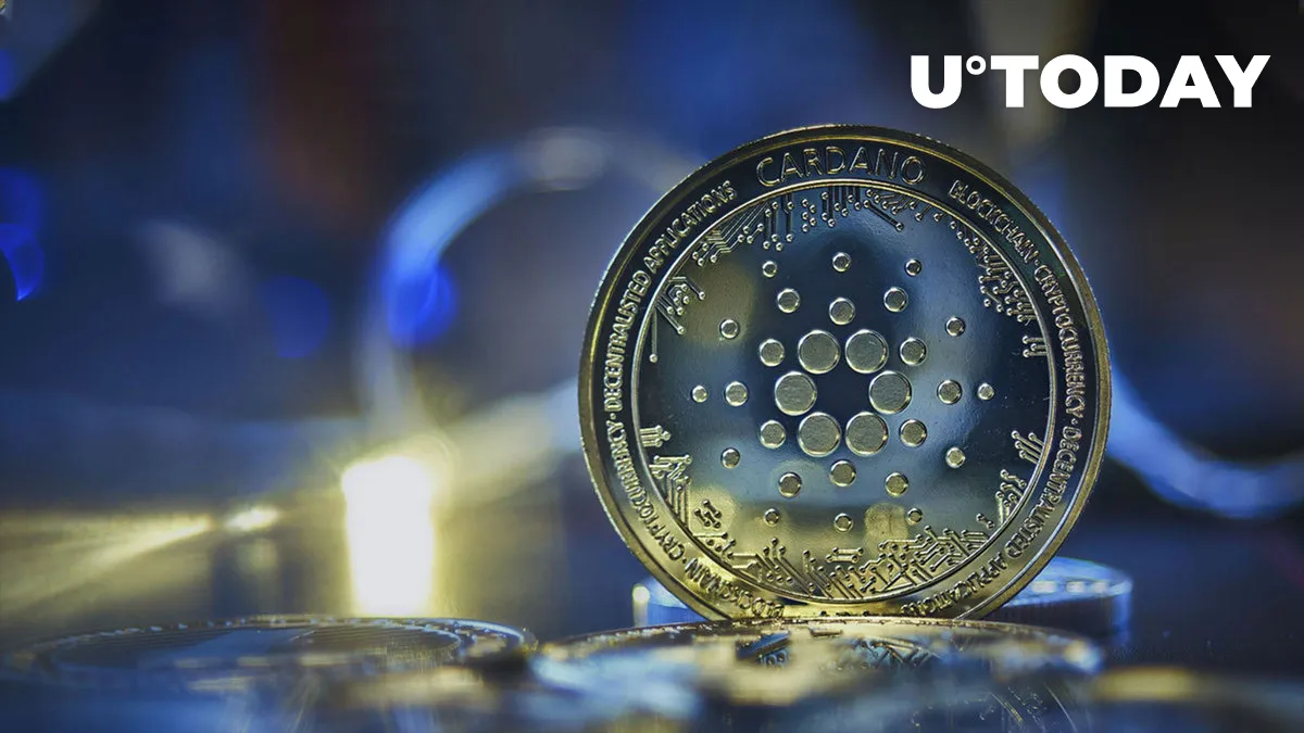 204 Billion ADA Moved by Large Cardano Holders Recently, Here's Why