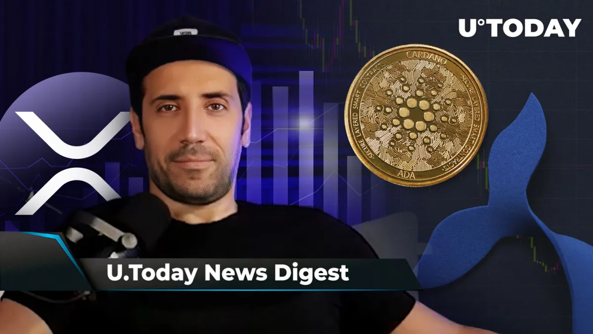 David Gokhshtein Calls XRP Chart 'Pretty Dope,' BabyDoge Hints at Major Listing, ADA Whales Rapidly Drop Their Holdings: Crypto News Digest by InkByte