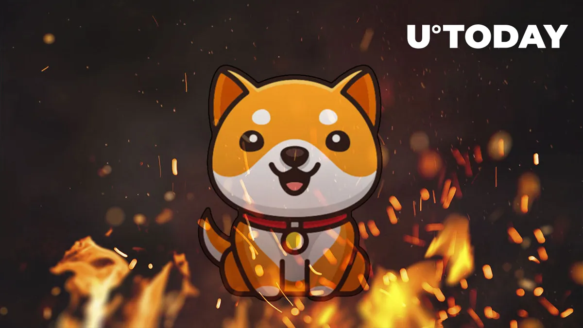 Over Half Quadrillion Baby Doge Coin (BabyDoge) Burned in Massive Burn Moves: Details