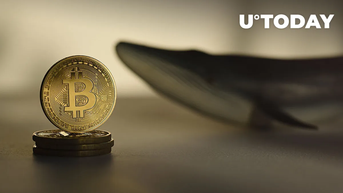 64,000 BTC Added by Bitcoin Whales to Holdings as Price Seeks to Reclaim $30K