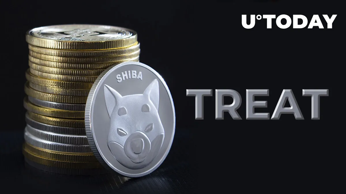 Shiba Inu Team Member Issues Critical Update on TREAT