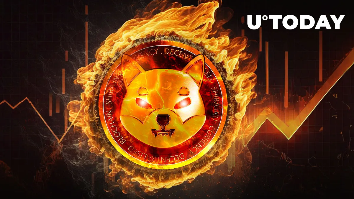 SHIB Burns Rapidly Increase by 317% as Price Shows Rise