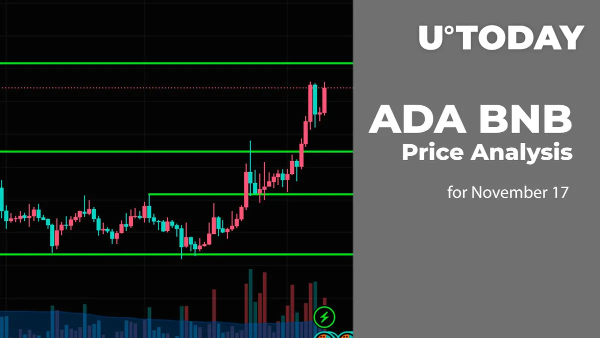 ADA and BNB Price Analysis for November 17