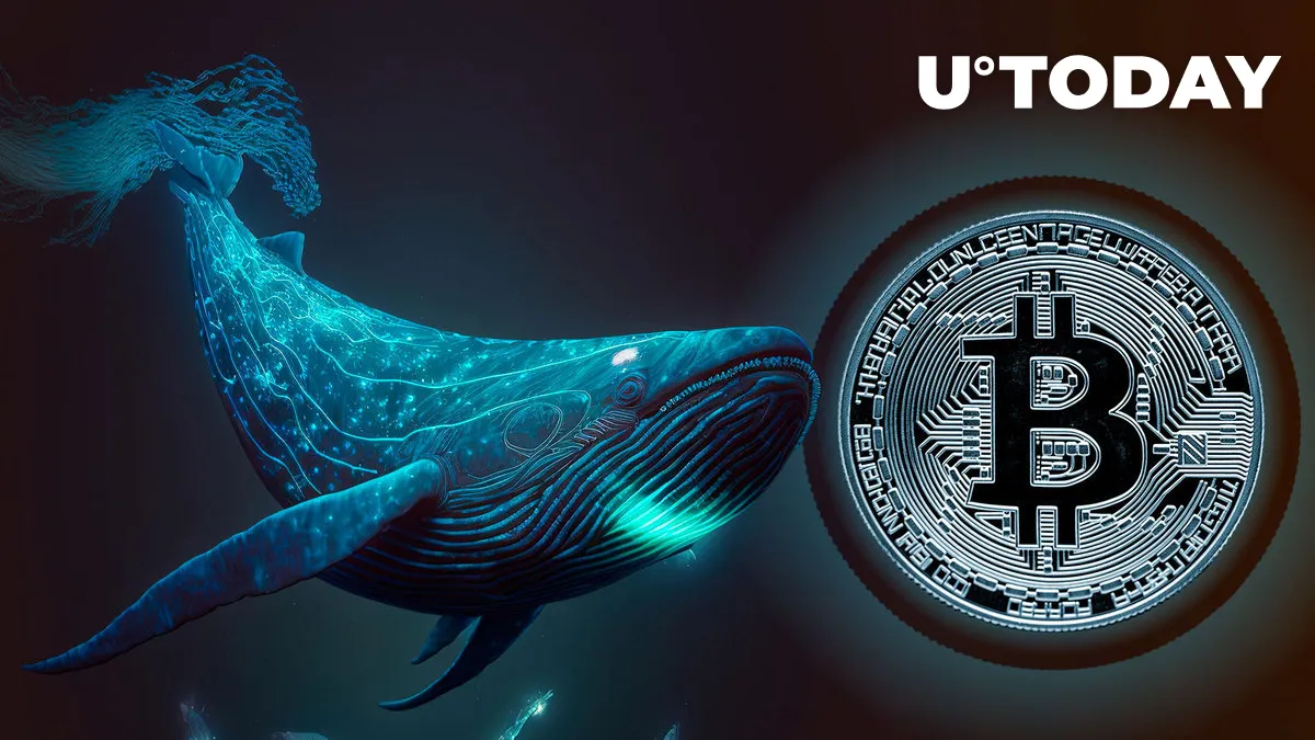 Bitcoin (BTC) Whales Balance Hits New Milestone: Details