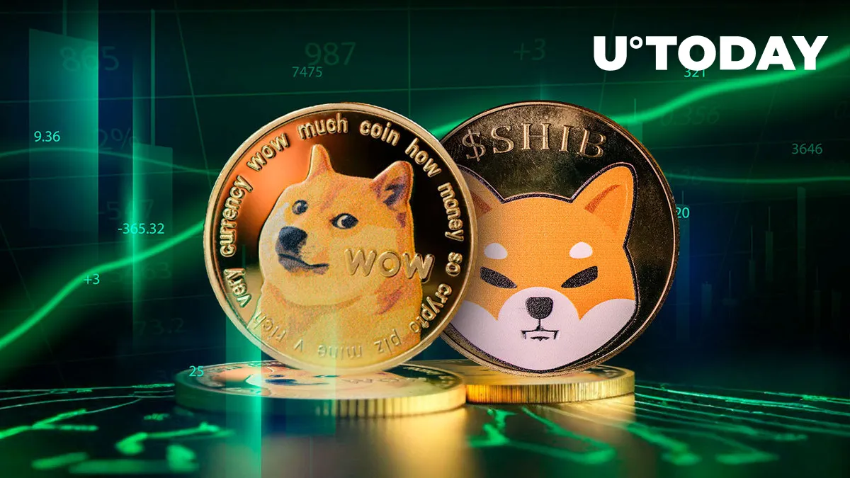 Dogecoin (DOGE) 'Very Bullish,' Recent Report Says; What About SHIB?