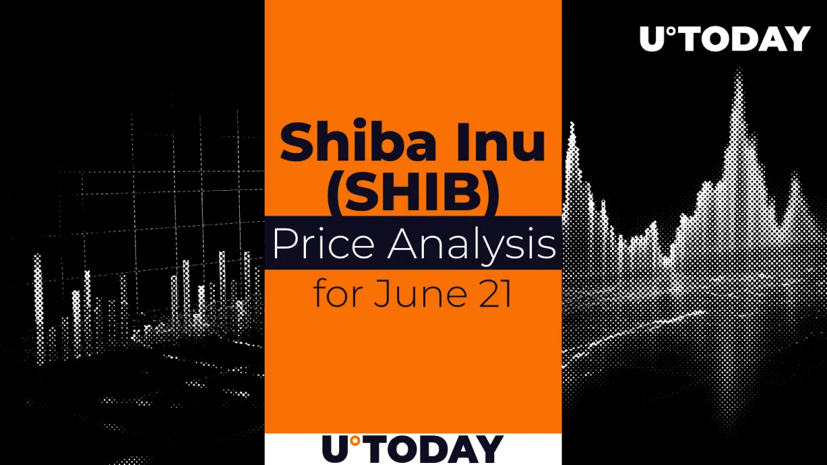 SHIB Price Prediction for June 21