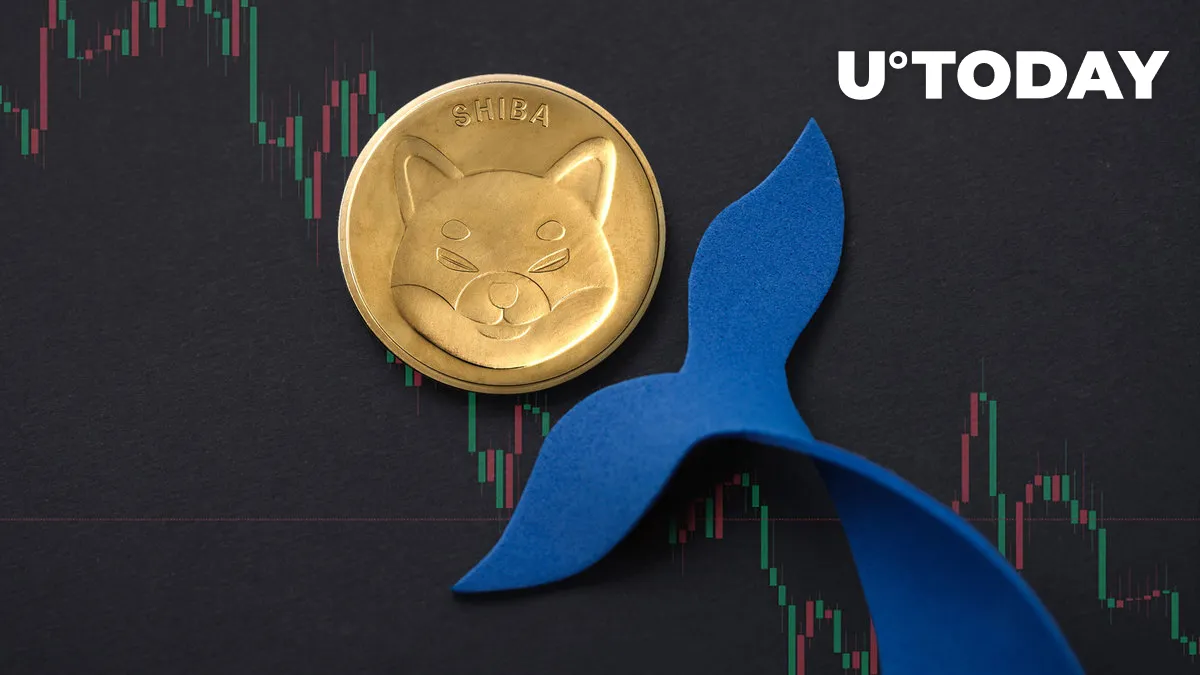 Shiba Inu (SHIB) Loses 84% in Key Metric as Whales Disappear