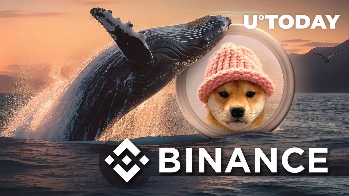 Binance Receives 12.66 Million WIF in Whale Moves as Dogwifhat Drops 30%