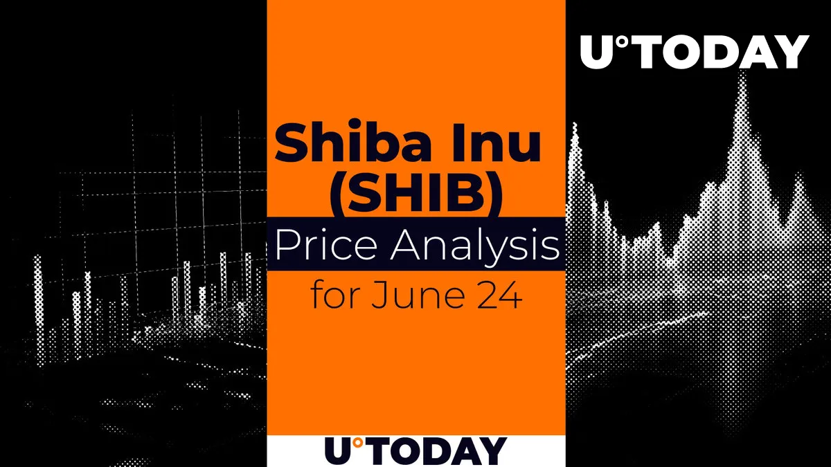 SHIB Price Prediction for June 24