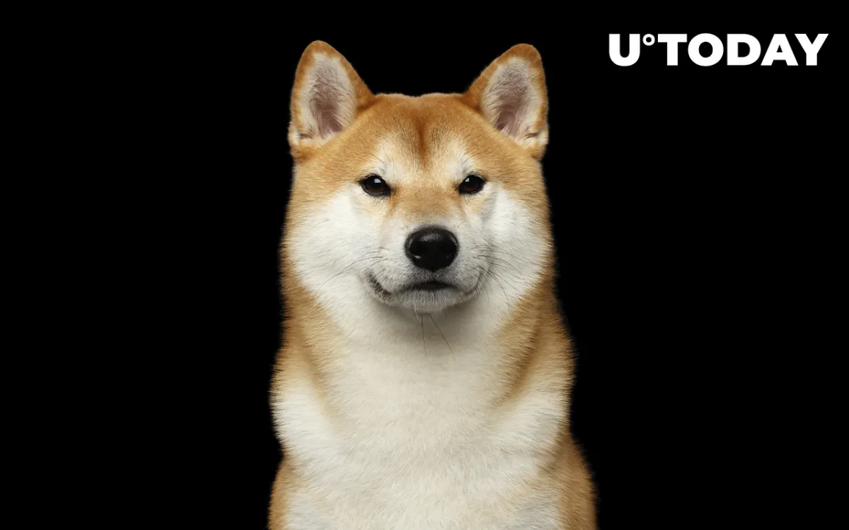 New Shiba Inu (SHIB) Rival Exploding in Popularity. Here's What Makes It Special 