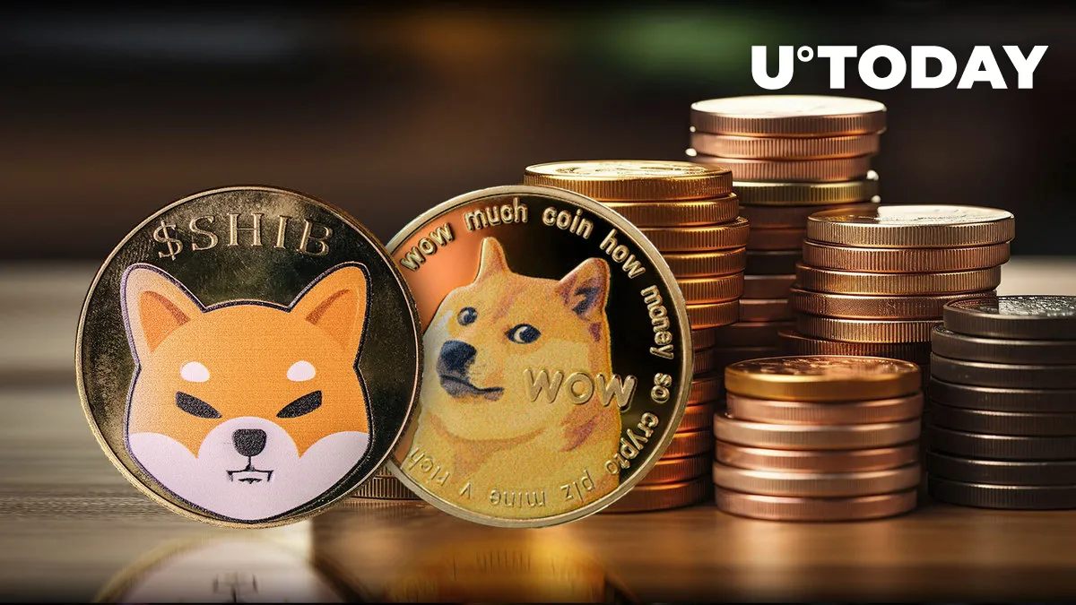 SHIB vs. DOGE: Shiba Inu Signals 'Extremely Oversold' Against Dogecoin