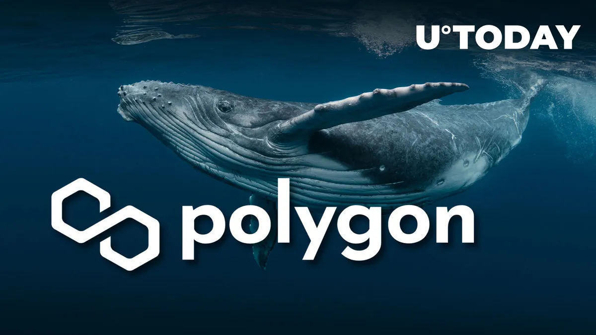 Polygon (MATIC) Skyrockets 1,453% in Whale Activity Climb, What Next?