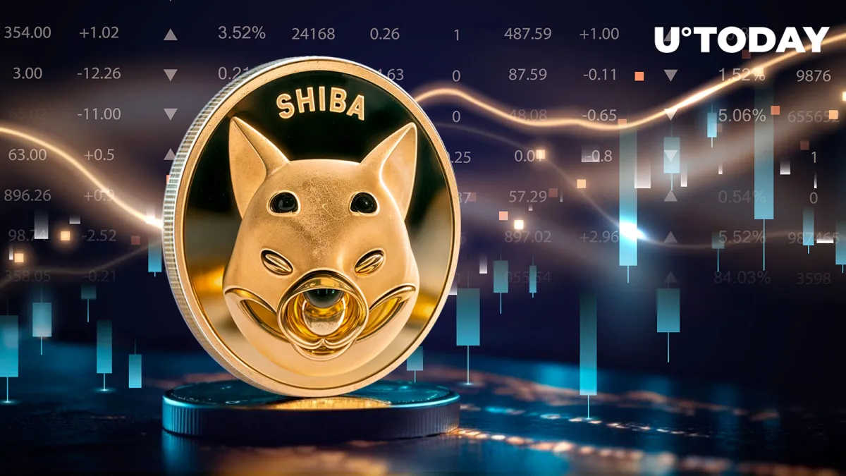 Shiba Inu (SHIB) Skyrockets 874% in Major Metric, Here's Why