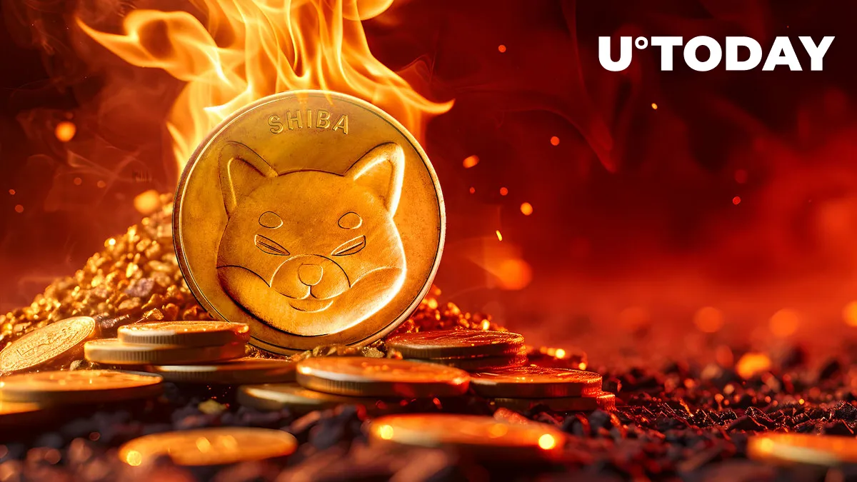 Shiba Inu Skyrockets 781% in Burns Amid SHIB Price Rebound