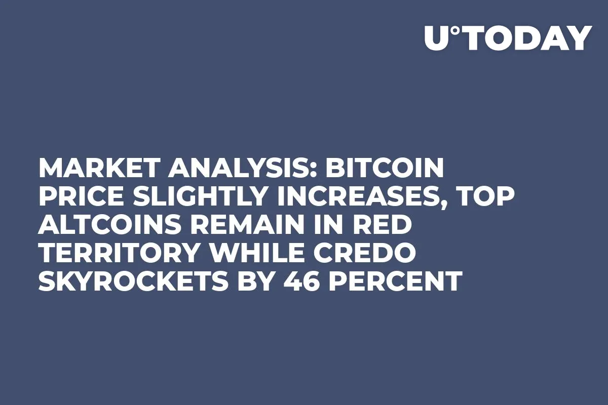 Market Analysis: Bitcoin Price Slightly Increases, Top Altcoins Remain in Red Territory While Credo Skyrockets by 46 Percent   