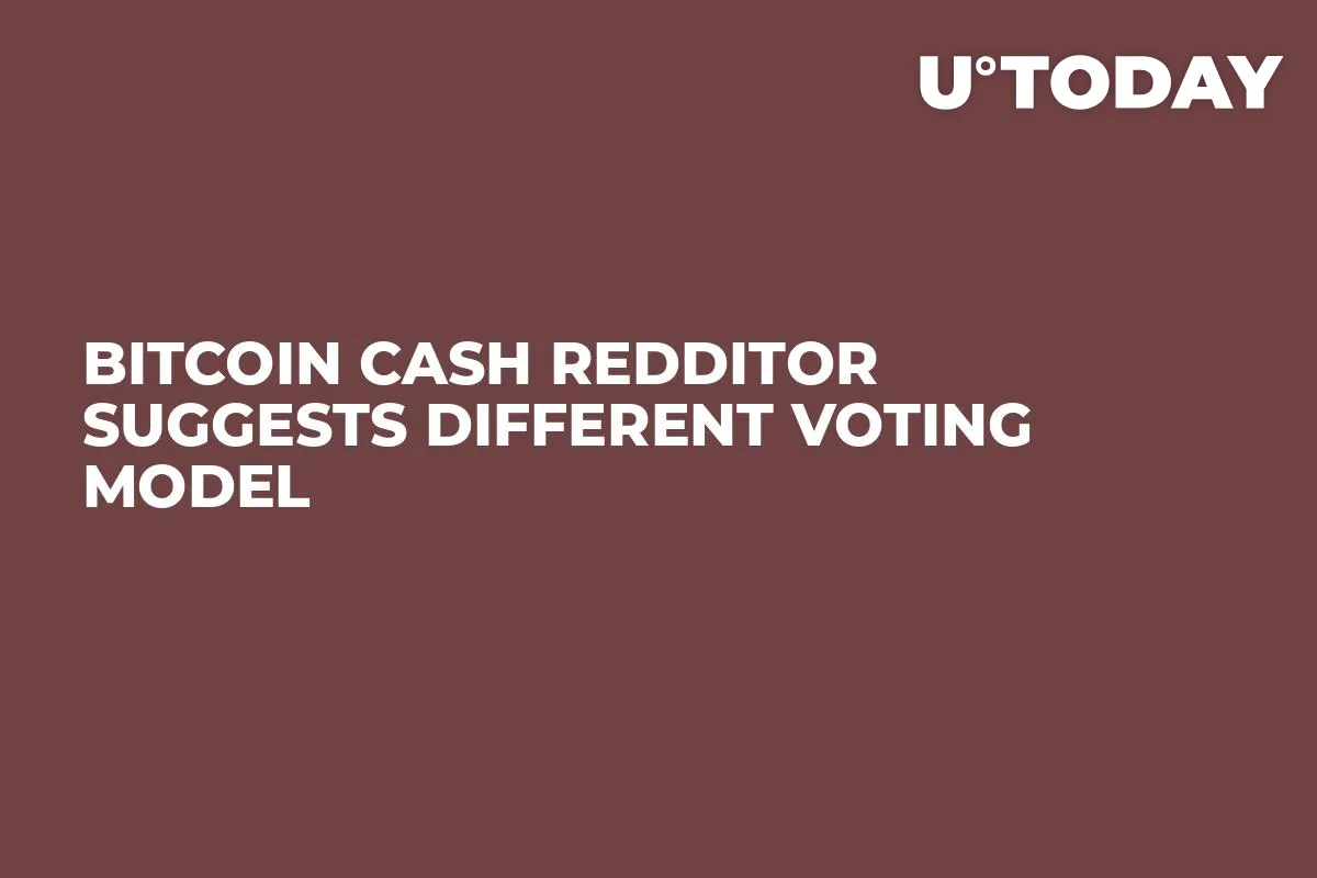 Bitcoin Cash Redditor Suggests Different Voting Model