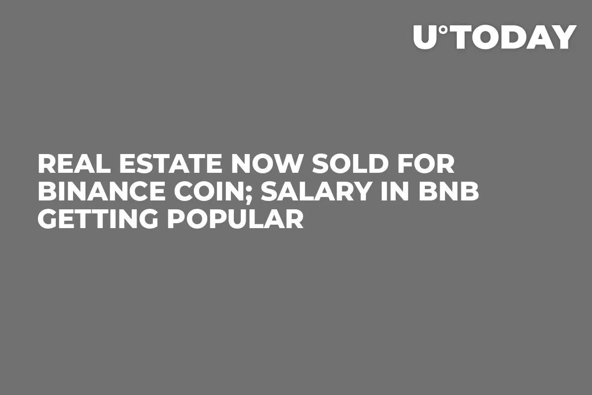 Real Estate Now Sold for Binance Coin; Salary In BNB Getting Popular