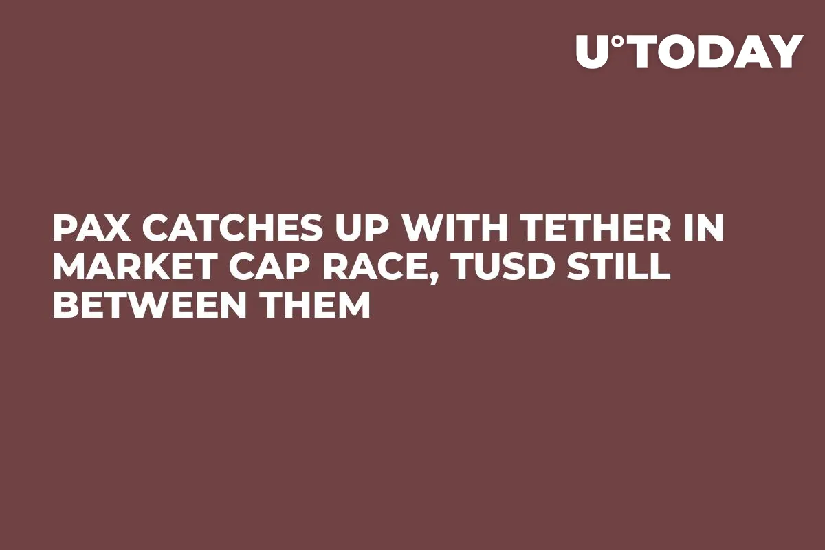 PAX Catches Up With Tether in Market Cap Race, TUSD Still Between Them