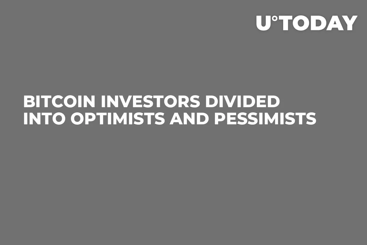 Bitcoin Investors Divided Into Optimists And Pessimists
