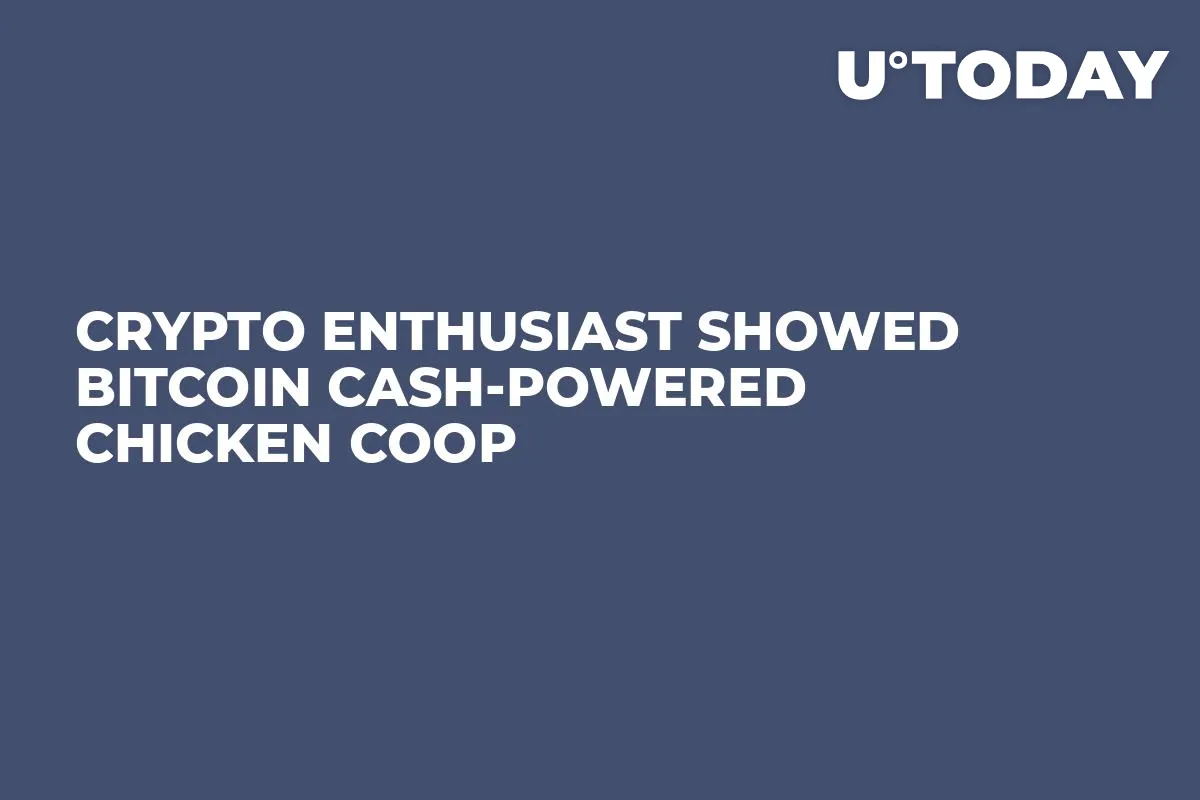 Crypto Enthusiast Showed Bitcoin Cash-Powered Chicken Coop