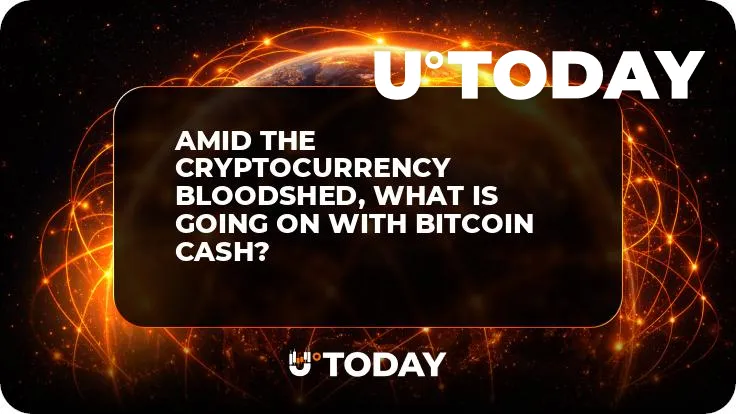 Amid the Cryptocurrency Bloodshed, What is Going on With Bitcoin Cash?