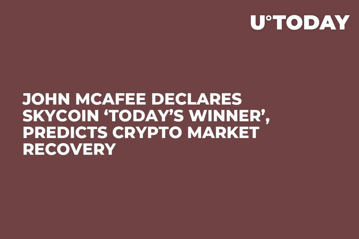 John McAfee Declares Skycoin ‘Today’s Winner’, Predicts Crypto Market Recovery  