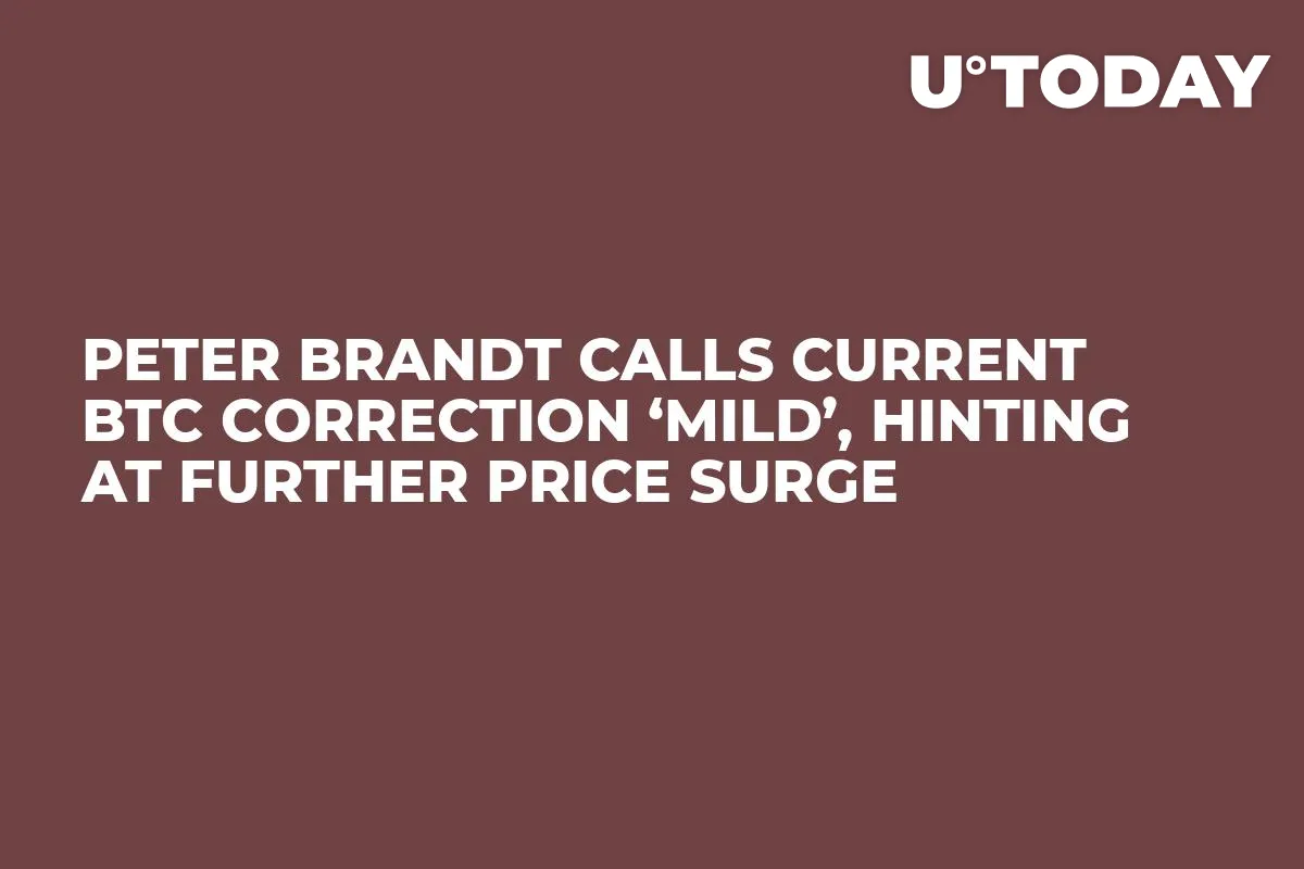 Peter Brandt Calls Current BTC Correction ‘Mild’, Hinting at Further Price Surge