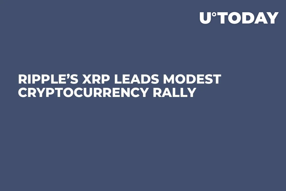 Ripple’s XRP Leads Modest Cryptocurrency Rally