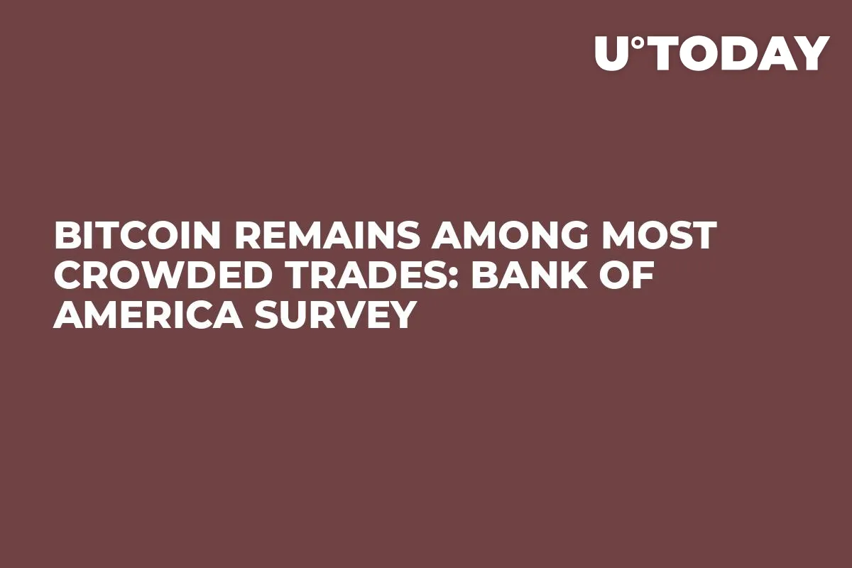 Bitcoin Remains Among Most Crowded Trades: Bank of America Survey