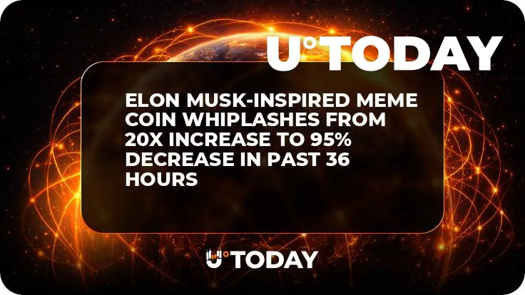 Elon Musk-Inspired Meme Coin Whiplashes From 20x Increase to 95% Decrease in Past 36 Hours