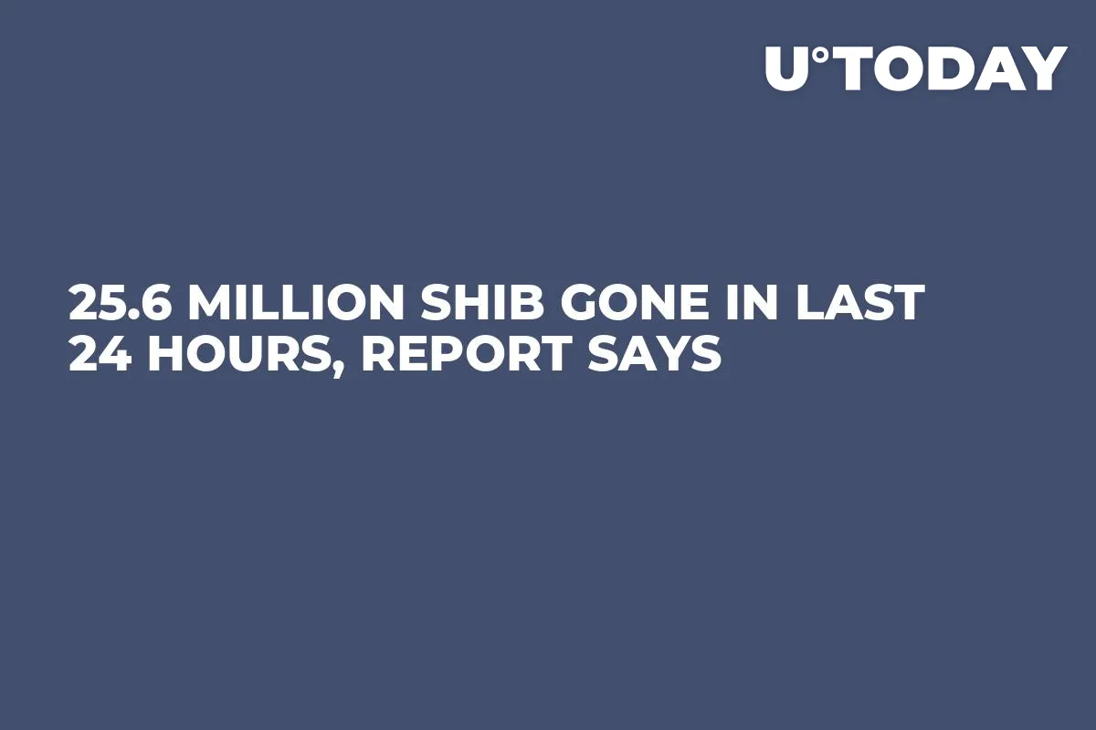 25.6 Million SHIB Gone in Last 24 Hours, Report Says