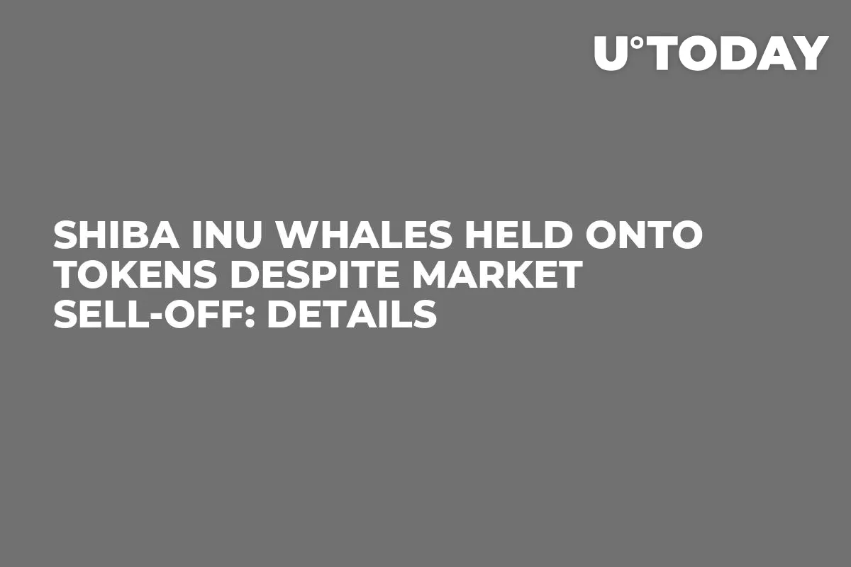 Shiba Inu Whales Held onto Tokens Despite Market Sell-off: Details