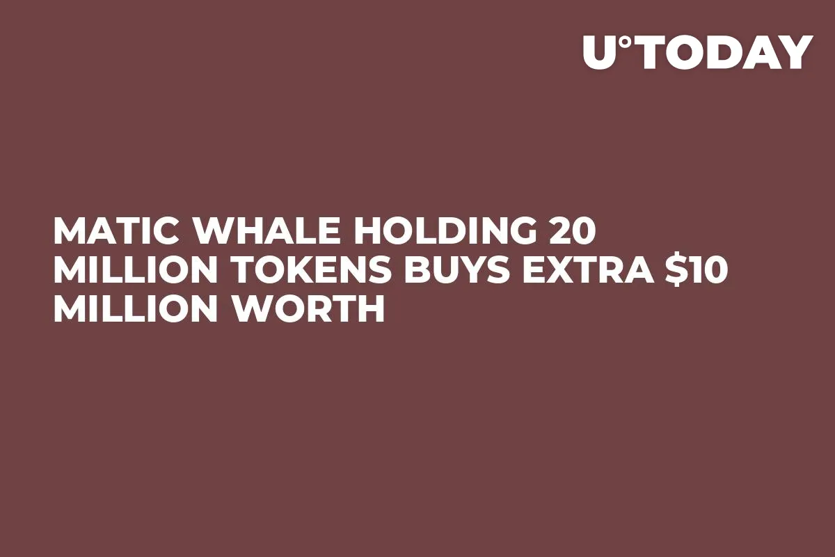 MATIC Whale Holding 20 Million Tokens Buys Extra $10 Million Worth